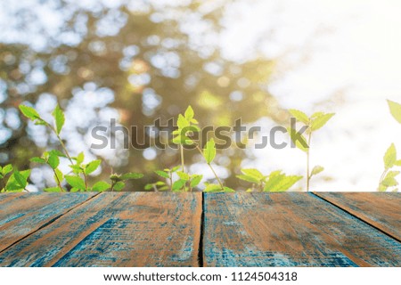On a wooden table and a natural green background, the morning light, design editing.