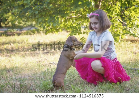 a little girl stroking her favorite hunting dog of a dachshund, sausage on her legs