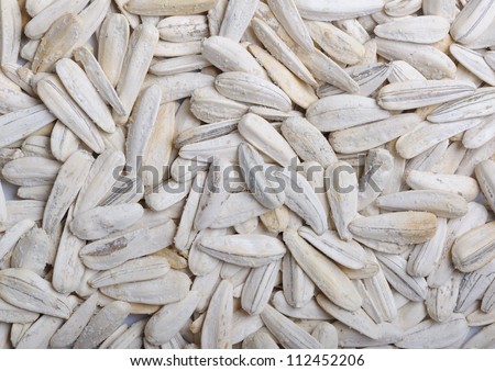 Background full of white sunflower seeds