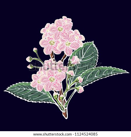 Vector flower on isolated background. Decorative plant.