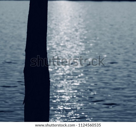A black tree parts with river water background unique photograph