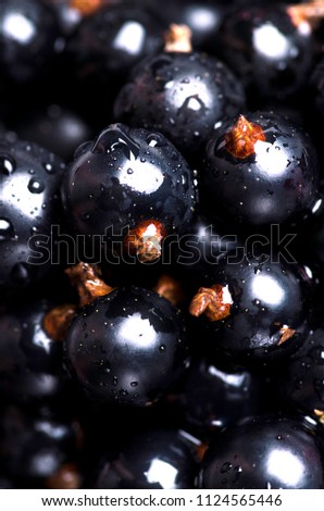 Organic ripe black currants with drops of water. Macro photography Royalty-Free Stock Photo #1124565446