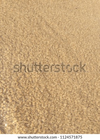 Clear sea water on golden sand beach background