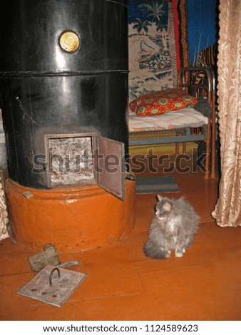 Picture of village life. Grey furry cat is heated on the wooden floor near the village metal stove on a cold winter evening in a log Russian house