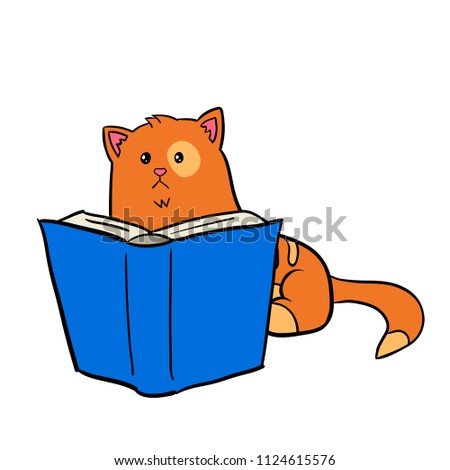 A red-haired fat cute cartoon cat reading a book. Cat looking into the book vector illustration.