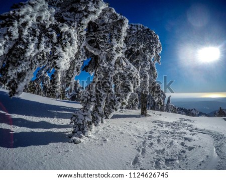 This picture was taken from the frozen Troodos mountain in Cyprus. It is the pinacle of the mountain.