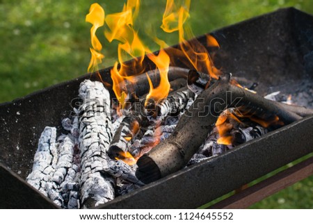 Burning woods outdoors. Flame and fire sparks.