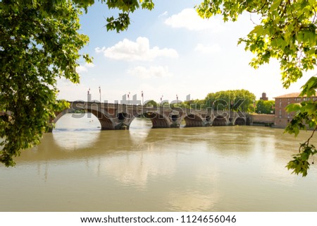 Amazing natural city landscape seen from the shore of the Garonne river looking through the leaves of a nice tree at one of the most interesting bridges of Toulouse a nice french city 