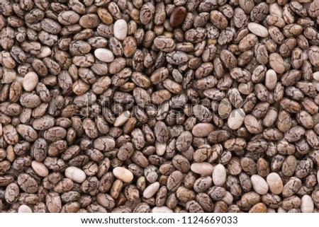 Black chia seeds 
