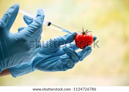 Hand with syringe injecting tomato. GMO and laboratory studies concept Royalty-Free Stock Photo #1124726786