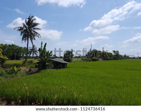 Cottage in green field with beautiful nature of  bright blue sky and some shaped on sunny day.