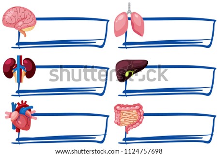 A Set of Human Organs and Banner illustration
