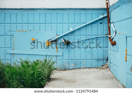 Blue wall from tiles with cyan closed hatchway and pipes close up. Background of wall of building with copy space with green grass on foreground.