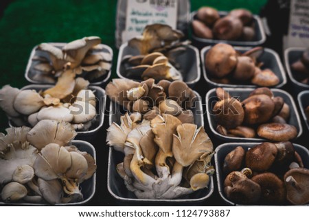 Pick some fresh ingredients and produce of mushrooms portioned by varieties and types at the local farmer's market.