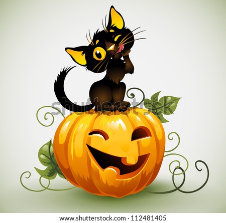 Black cat on pumpkin.