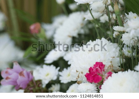 bunch of fresh spring flowers close up, flower wall, flower background. backdrop wedding decoration, pattern and colourful background