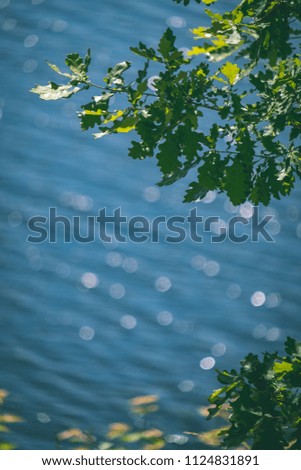 sparkling natural round flares reflections in water with green tree leaves in foreground. summer day - vintage retro look