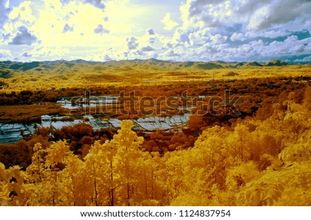 Village in yellow trees from near infared style. Paradise concept.                    