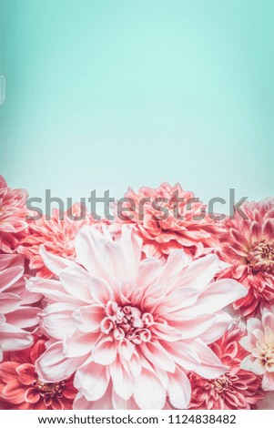 Pastel pink color flowers on turquoise background, top view. Floral border