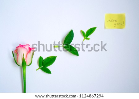Rose flower composition with green leaves and a sticker "Love you" on white background. Flat lay, top view.