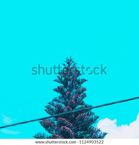 the top of a pine or spruce tree against the sky. bright neon colors. minimal and surreal. summer vacation. style of the 80's