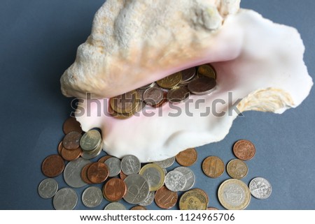 Pile of euro coins and dimes lying in sea big shell on the grey background. Pirates treasure concept.