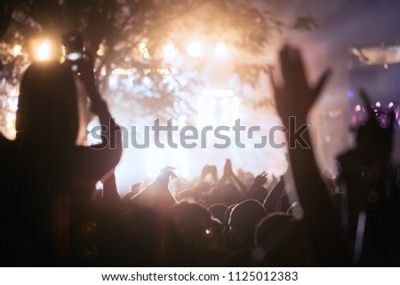 Picture of party people on music festival