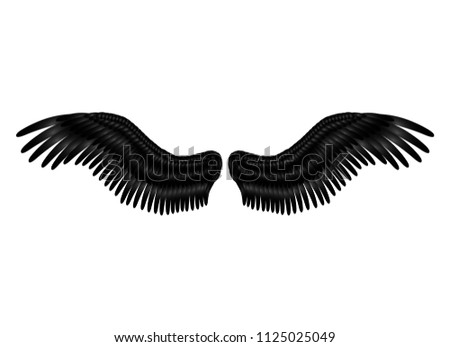 realistic black raven crown wings