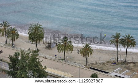 A beautiful view at the seashore, beach and palm trees.