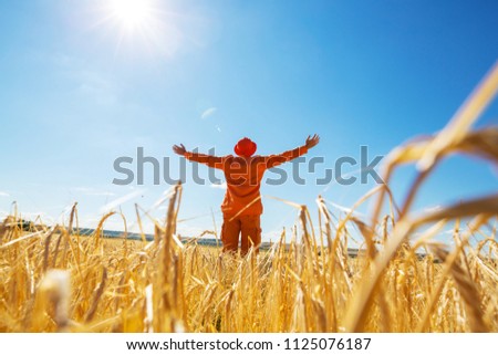 Happy man in yellow wheat field