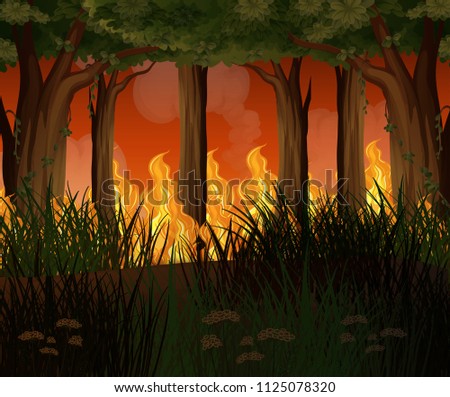 A Forest with Wildfire Disaster  illustration