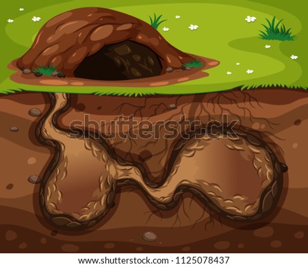 A Animal Underground Habitat illustration
