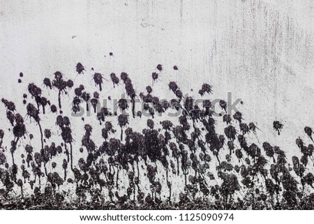 Splashes of black marks on the cement wall , background , soft focus , abstract.