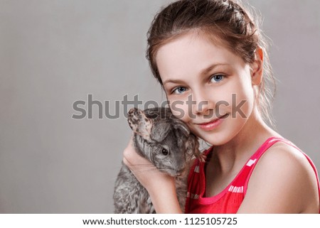 Cute smiling little girl holds funny gray chinchilla over gray background.