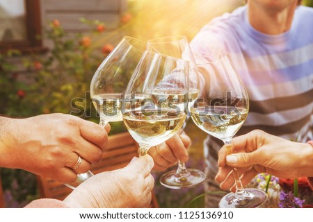 Family of different ages people cheerfully celebrate outdoors with glasses of white wine, proclaim toast People having dinner in a home garden in summer sunlight