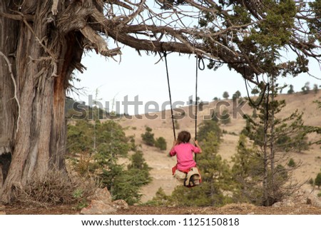 juniper tree, swing and playing child