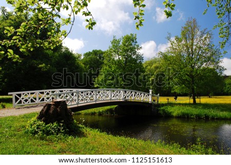 Elegant wooden white bridge leading into a field of summer yellow flowers over a water river with magnificent trees and framed by a blue sky with beautiful clouds
