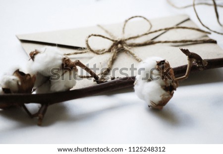 Stock stylish mock up photo with branch of cotton and craft envelope with a rope in warm color tones. Rustic style photo for blog or website.