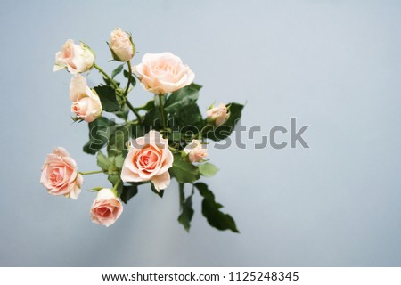 Stock stylish photo with  a pink small roses flowers bouquet. Feminine beautiful photo for blog and website.