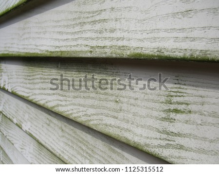 Close up of mold and mildew on house siding 
