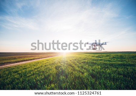 drone quad copter on green corn field Royalty-Free Stock Photo #1125324761