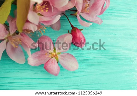 magnolia flower on a wooden background