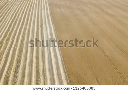 Areal view of crop fields in sunny summer day. Wheat Harvest. 