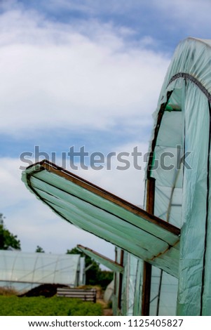 Greenhouse for growing vegetables, blue sky, farming, hot summer day