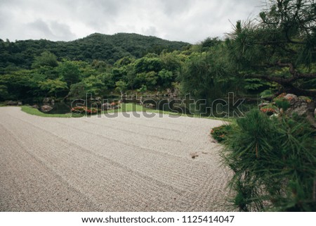 Japanese zen stone garden with green maple leaves film vintage style