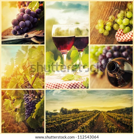 Country series. Collage of rustic wine, grapes and vineyard images. Autumn concept with red wine glasses, wine bottles, vineyard landscape and grapes in nature.
