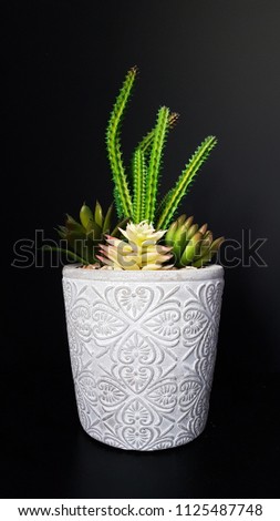 cartoon style house pot plant fake cactus in a grey pot for home design and moodboards