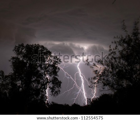 Multiple Lightning Strikes between Trees