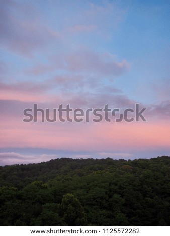 Sunset landscape of forest and park in Korea Cheongju city
