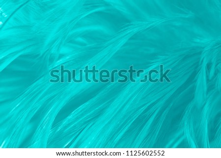 Beautiful green turquoise vintage color trends feather pattern texture background